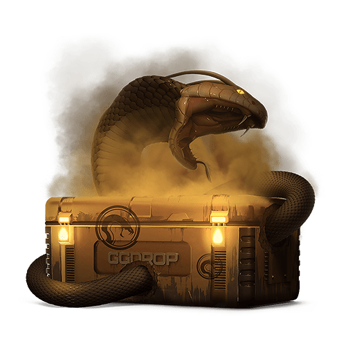 Recoil case